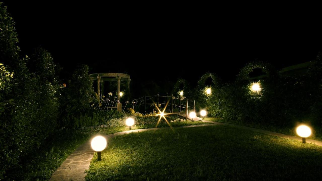 Il Mondo B&B フィウミチーノ エクステリア 写真
